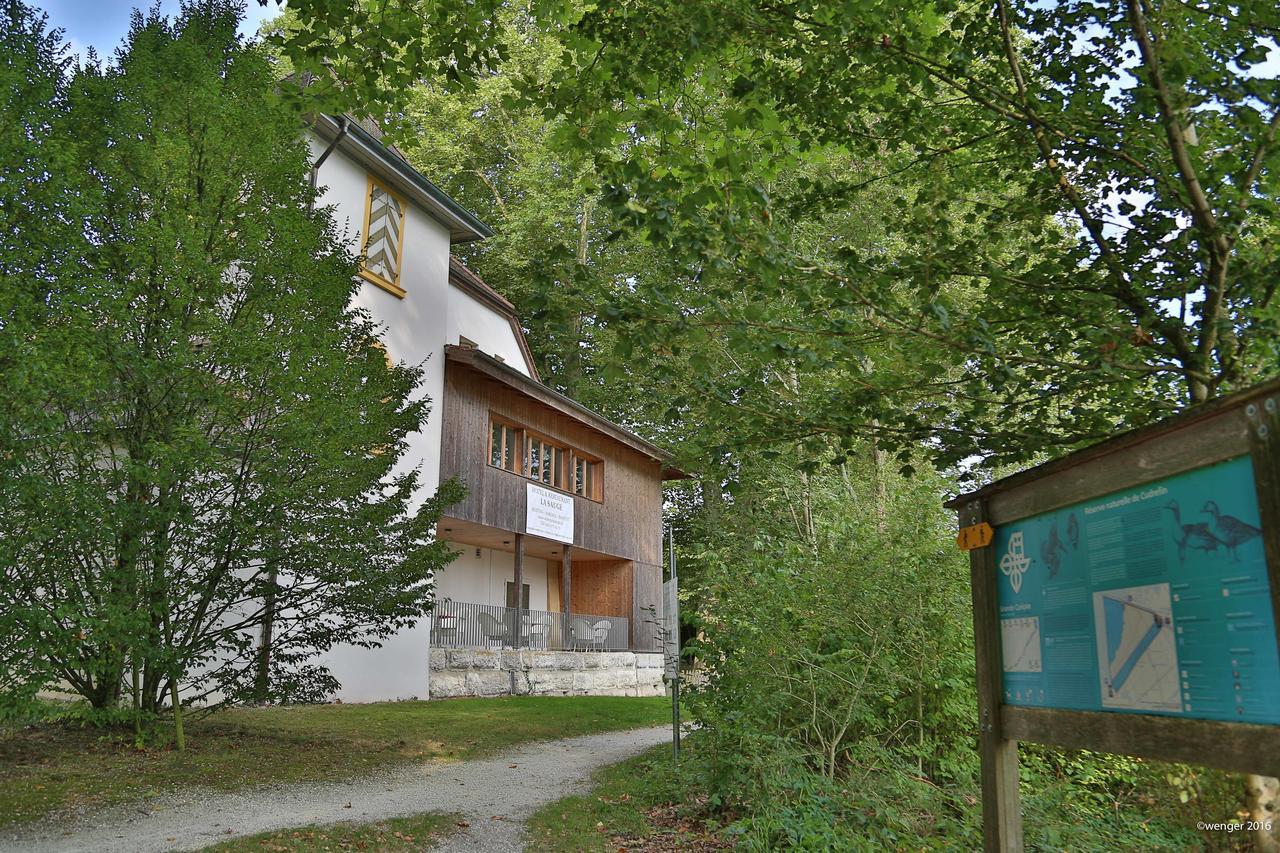 Hotel Domaine De La Sauge 屈德勒凡 外观 照片